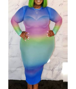 Lovely Casual Printed Multicolor Plus Size Mid Calf Dress